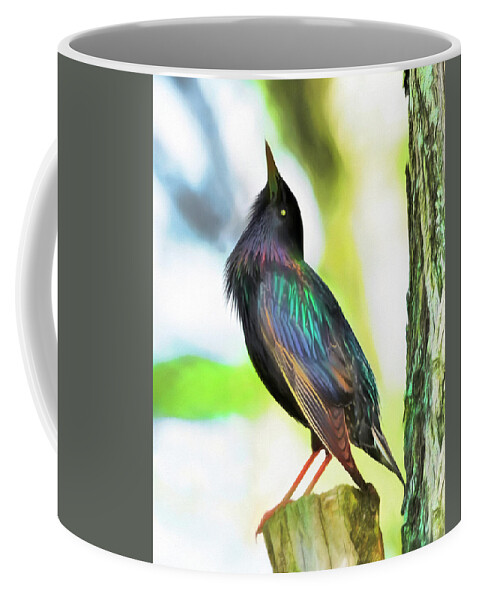 European Starling Coffee Mug featuring the photograph Common Grackle - Icteridae by Susan Hope Finley