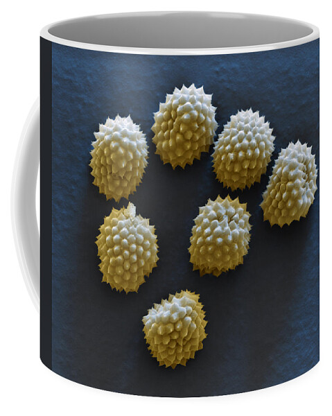 Allergen Coffee Mug featuring the photograph Common Ragweed by Meckes/ottawa