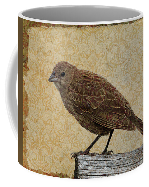 Fine Art Photography Coffee Mug featuring the photograph Common Sparrow by Mary Hone