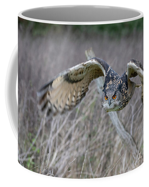Owl Coffee Mug featuring the photograph Concentration by Mark Hunter