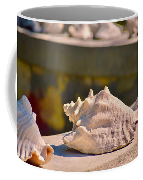 Photograph Coffee Mug featuring the photograph Conch Convention by Debra Grace Addison