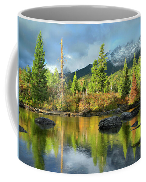 00586190 Coffee Mug featuring the photograph Conifers Along River, Mt Saint John, Grand Teton National Park, Wyoming by Tim Fitzharris