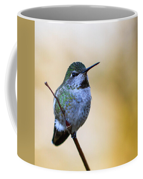 Animal Coffee Mug featuring the photograph Contemplation by Briand Sanderson
