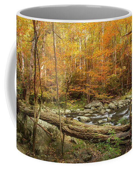 Fall Coffee Mug featuring the photograph Cool Air Autumn Leaves by Mike Eingle