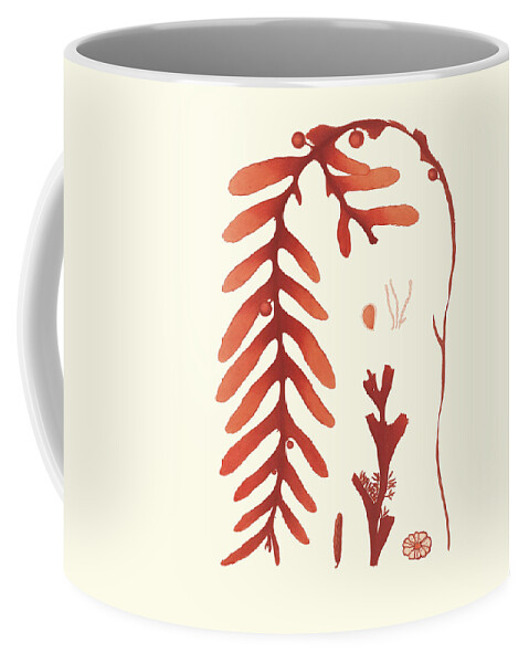 Coastal & Tropical+animals & Nature+sea Life Coffee Mug featuring the painting Coral Seaweed II by Vision Studio