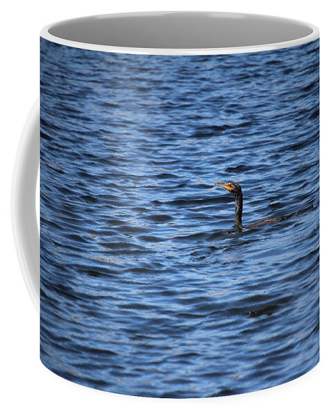 Double-crested Cormorant Coffee Mug featuring the photograph Cormorant Floats In The Blue Water by Cynthia Guinn