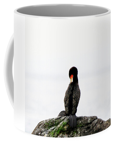 Cormorant Coffee Mug featuring the photograph Cormorant Grooming by Marie Jamieson