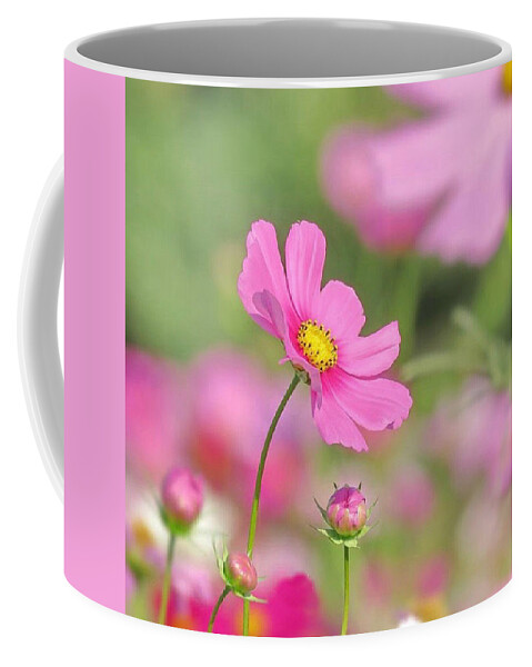 Pink Coffee Mug featuring the photograph Cosmopolitan by Carolyn Mickulas