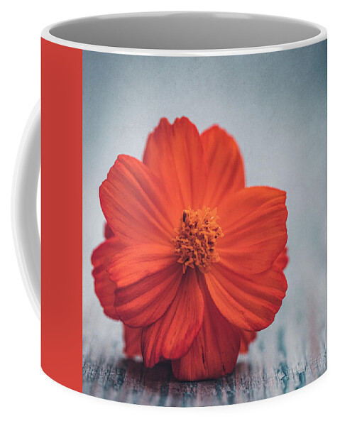 Flower Coffee Mug featuring the photograph Cosmos orange by Philippe Sainte-Laudy