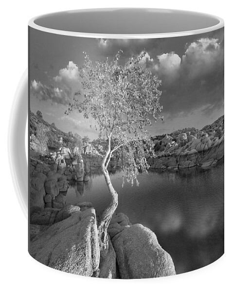 Disk1216 Coffee Mug featuring the photograph Cottonwood And Granite Lake by Tim Fitzharris
