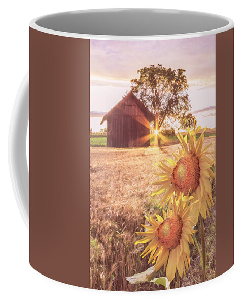 Barns Coffee Mug featuring the photograph Country Longing by Debra and Dave Vanderlaan