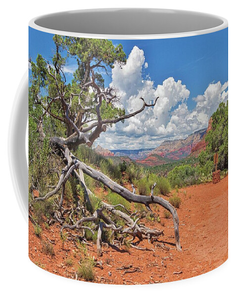 Arizona Coffee Mug featuring the photograph Courthouse Butte Loop Trail View by Marisa Geraghty Photography