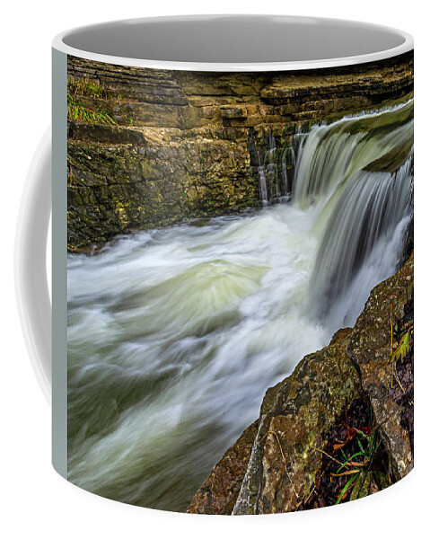 Creek Coffee Mug featuring the photograph Cove Spring by Ulrich Burkhalter