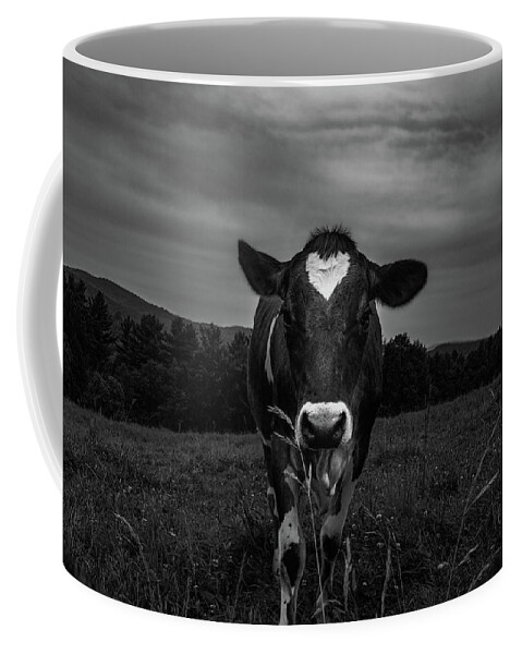 Cows Coffee Mug featuring the photograph Cow by Bob Orsillo