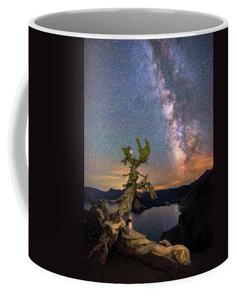 Crater Lake National Park Coffee Mug featuring the photograph Crater Lake Twisty Tree by Darren White