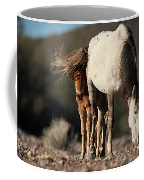 Cute Coffee Mug featuring the photograph Crazy Hair Day by Shannon Hastings
