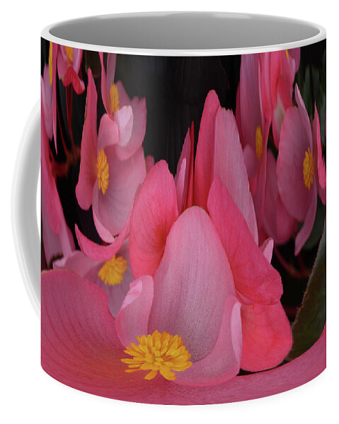 Begonia's Coffee Mug featuring the photograph Creation of Begonia's by Terence Davis