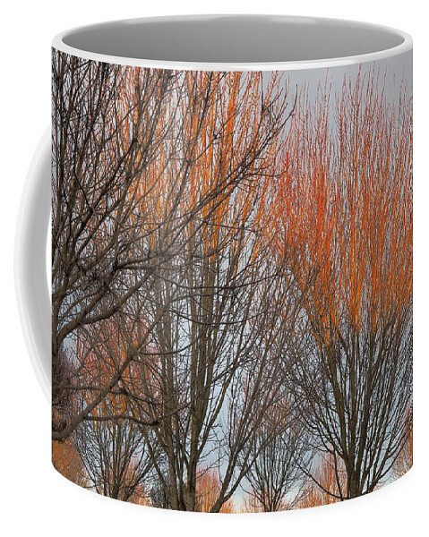 Landscape Coffee Mug featuring the photograph Creator's Airbrush by Richard Thomas