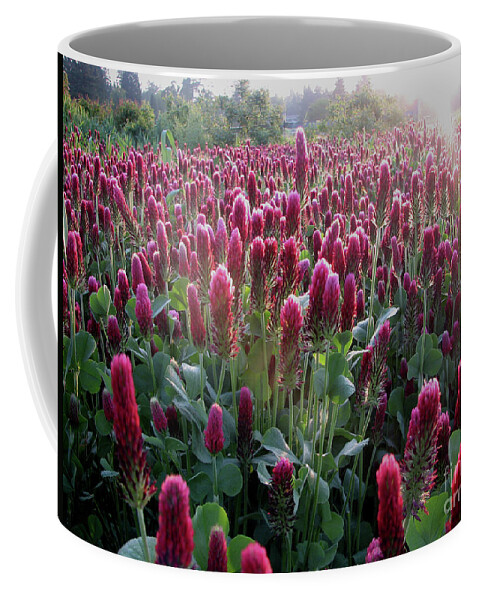 Fields Coffee Mug featuring the photograph Crimson Clover Fields by Rich Collins