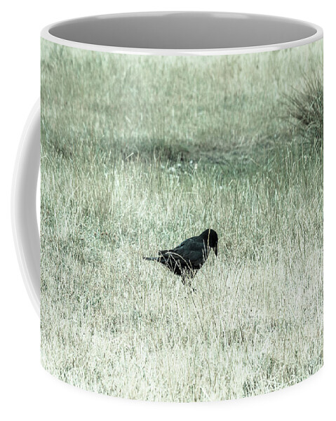 Animal Coffee Mug featuring the photograph Crow by Tanya C Smith