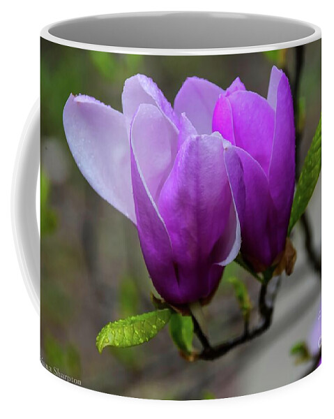 Japanese Coffee Mug featuring the photograph Cuddling In Spring by Diana Mary Sharpton
