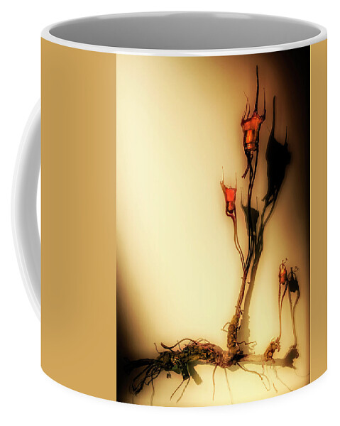 Cultivation Coffee Mug featuring the photograph Cultivation of bulbs by Micah Offman