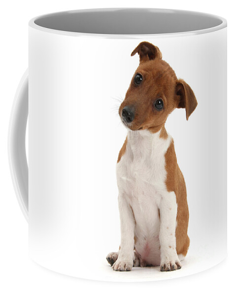 Jack Russell Terrier Coffee Mug featuring the photograph Curious by Warren Photographic