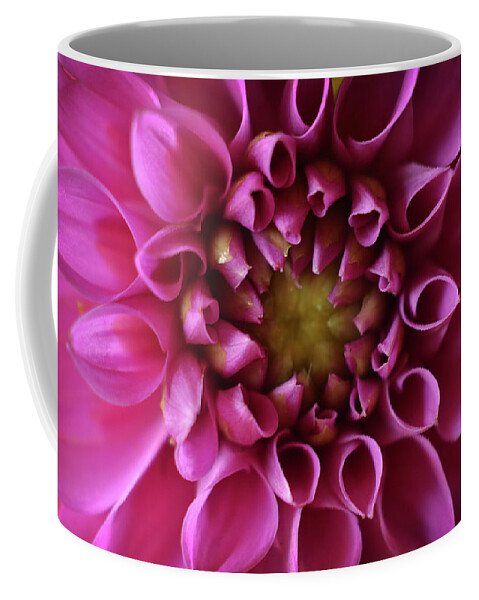 Flower Coffee Mug featuring the photograph Curled Up by Michelle Wermuth