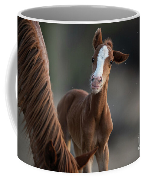 Cute Coffee Mug featuring the photograph Cutie by Shannon Hastings