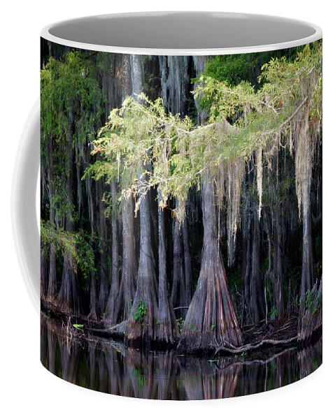 Caddo Lake Coffee Mug featuring the photograph Cypress Bank by Lana Trussell