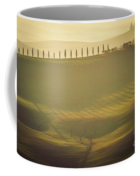 Landscape Coffee Mug featuring the photograph Cypress Line in Tuscan Scenery by Heiko Koehrer-Wagner