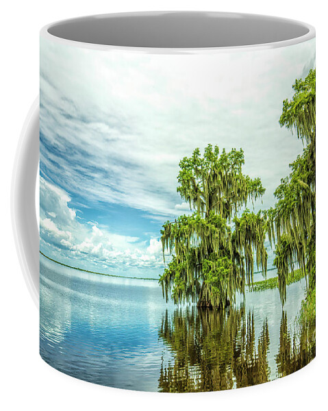 Cypress Trees Coffee Mug featuring the photograph Cypress Trees, Tell Us The Mystery Of Your Soul by Felix Lai