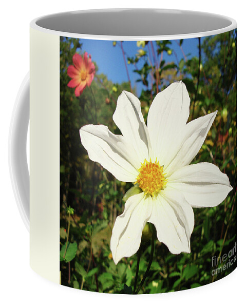 Dahlia Coffee Mug featuring the photograph Dahlia 17 by Amy E Fraser