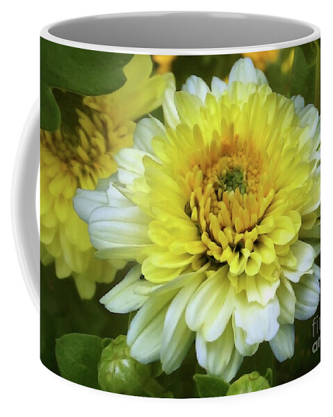 Flowers Coffee Mug featuring the photograph Daisies by Jasna Dragun