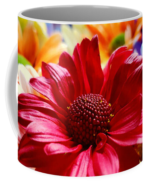 Daisy Coffee Mug featuring the photograph Daisy Explosion by Alexis King-Glandon