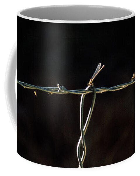 Damselflies Coffee Mug featuring the photograph Damsels in Distress by Randy Oberg