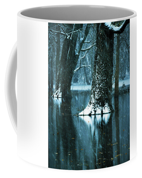 Water Coffee Mug featuring the photograph Dark Forest Reflections by Sandra J's