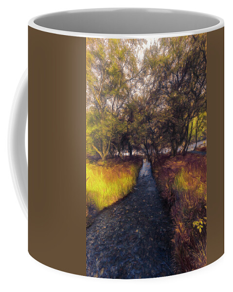 Clouds Coffee Mug featuring the photograph Dark Irish Stream in the Fall Painting by Debra and Dave Vanderlaan