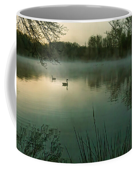 Goose Coffee Mug featuring the photograph Dawn At The Biltmore by Doug Sturgess