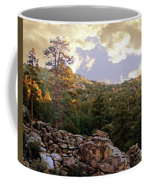 Dawn Coffee Mug featuring the photograph Dawn in Van Dusen Canyon by Timothy Bulone