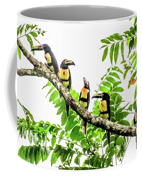 0096 Coffee Mug featuring the photograph Dawn Patrol by Tom and Pat Cory