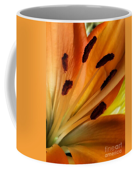 Lilies Coffee Mug featuring the photograph DayLily by Marcia Breznay