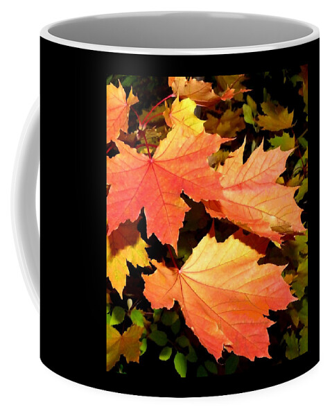 Maple Coffee Mug featuring the digital art Days Of Autumn 21 by Will Borden