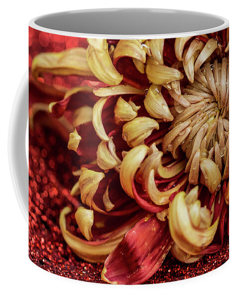 Petals Coffee Mug featuring the photograph Dazzle and Dewdrops by Vanessa Thomas