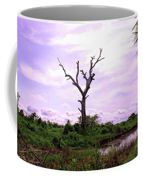 Landscape Coffee Mug featuring the photograph This Photo Is About Trees That Die Amid Fertile Rice Fields by Bokeh Bokeh