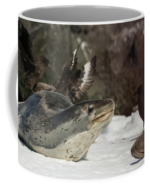 Seal Coffee Mug featuring the photograph Deadly Charm by Alex Lapidus