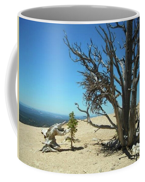 Deadwood Coffee Mug featuring the photograph Deadwood Whispering Secrets by Michelle Stevens