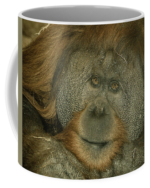 Monkey Coffee Mug featuring the photograph Deal Em by Trish Tritz