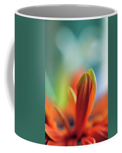 Orange Coffee Mug featuring the photograph Decision by Michelle Wermuth