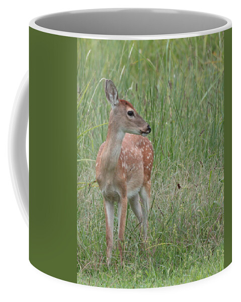 Deer Coffee Mug featuring the photograph Deer 2920 by John Moyer